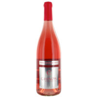 Chinon-Rose-Pierre-Bertrand.jpg Pierre & Bertrand Couly Chinon Rose 2023