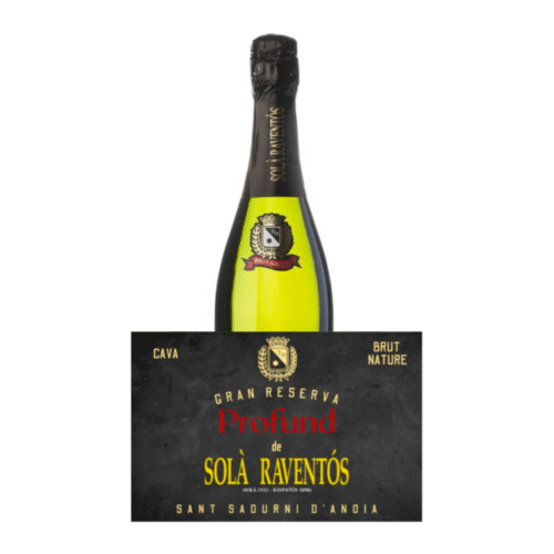 Sola Raventos Pofund 2020 Magnum