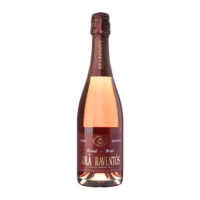 Sola-Raventos-Rose-2020.png Sola Raventos Rose Brut 2022