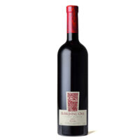 Burrowing Owl Estate Winery Syrah 2021