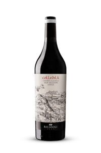 Colledilà_Gaiole_NV Colledila Gran Selezione Chianti Classico 2022