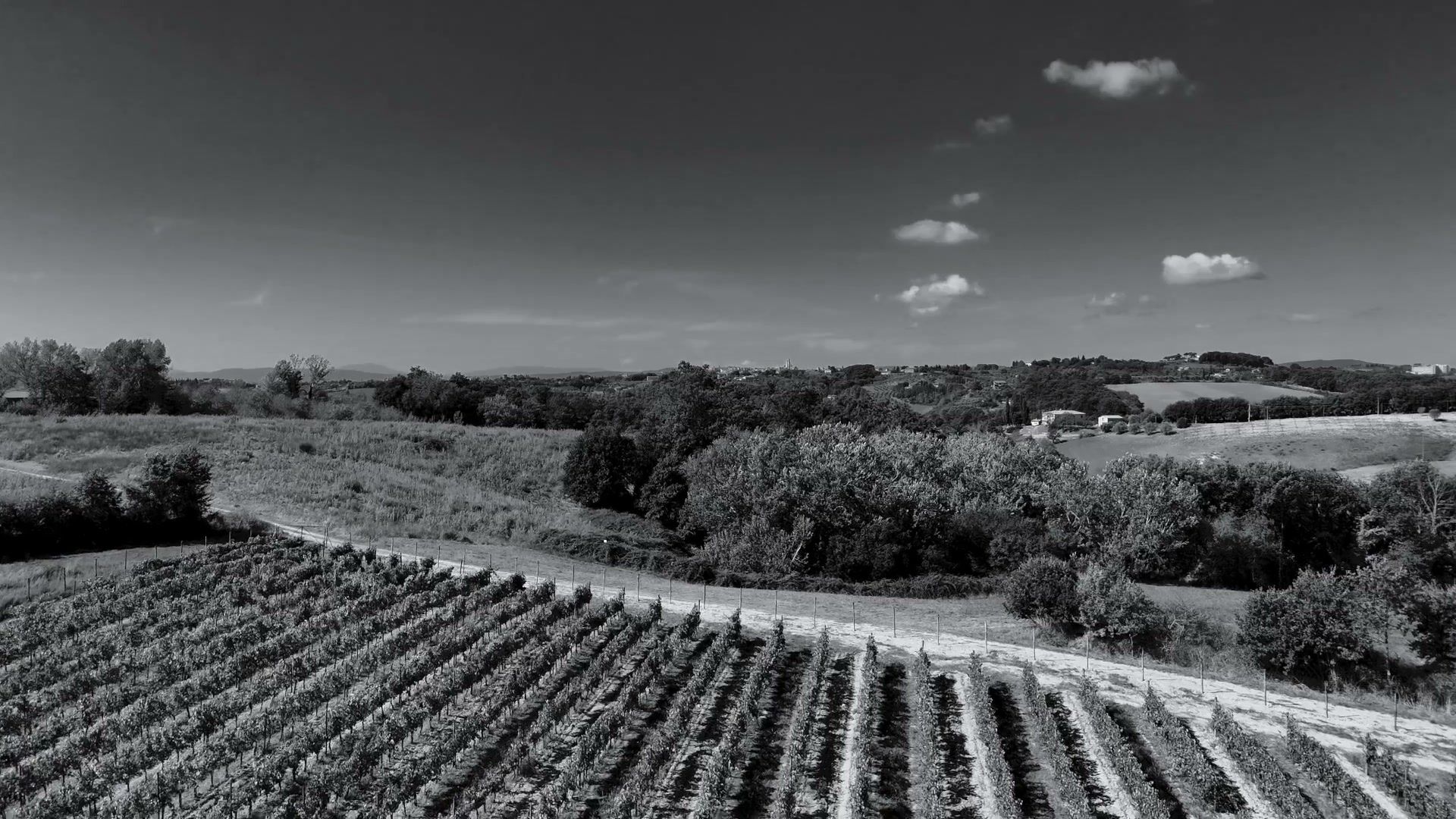 Aerial view over the vineyards and villa at Tenuta di Montechiaro, Siena
