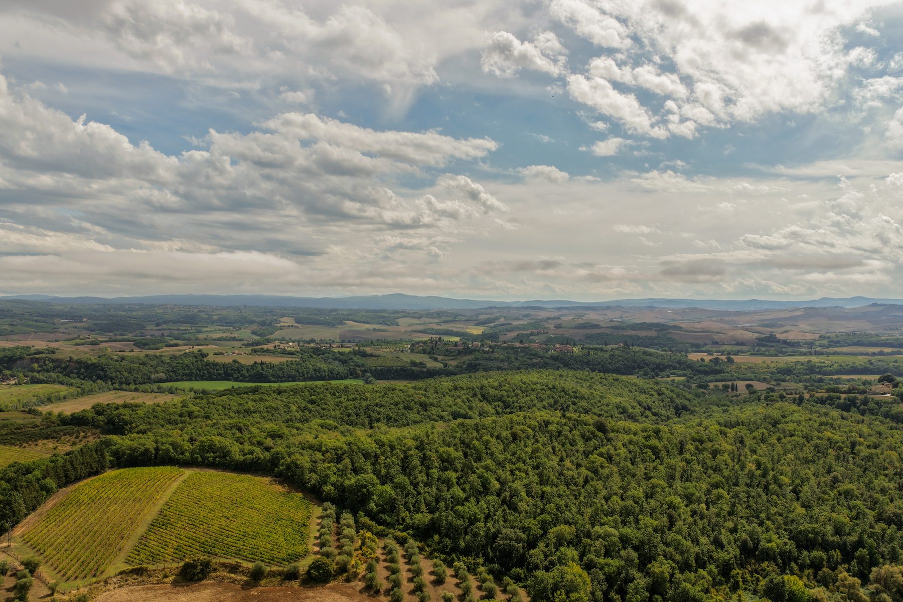 Panorama of the Chianti Colli Senesi countryside around the estate