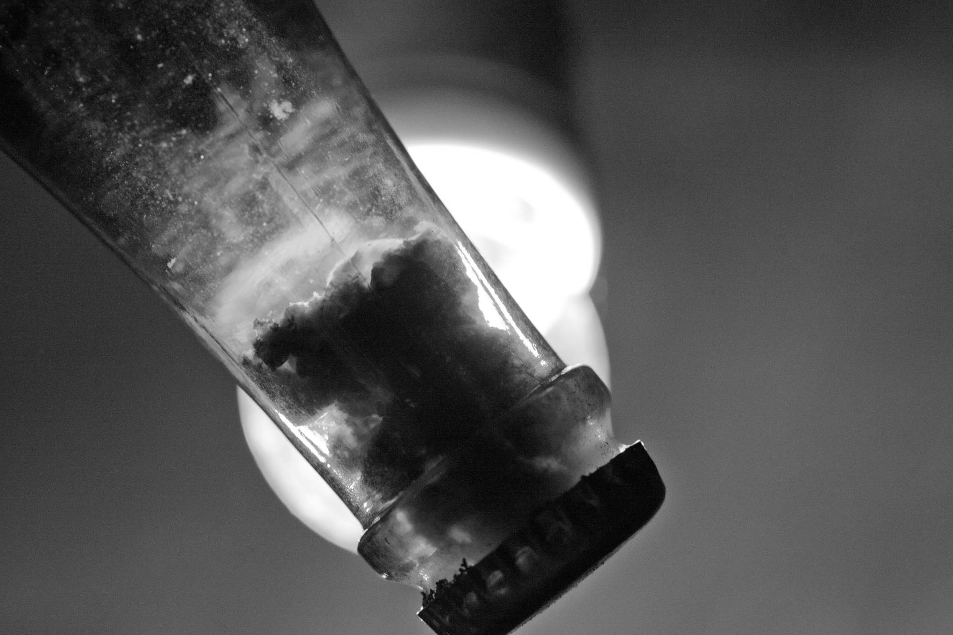 The neck of an ageing cava bottle held to the light, the lees settled inside