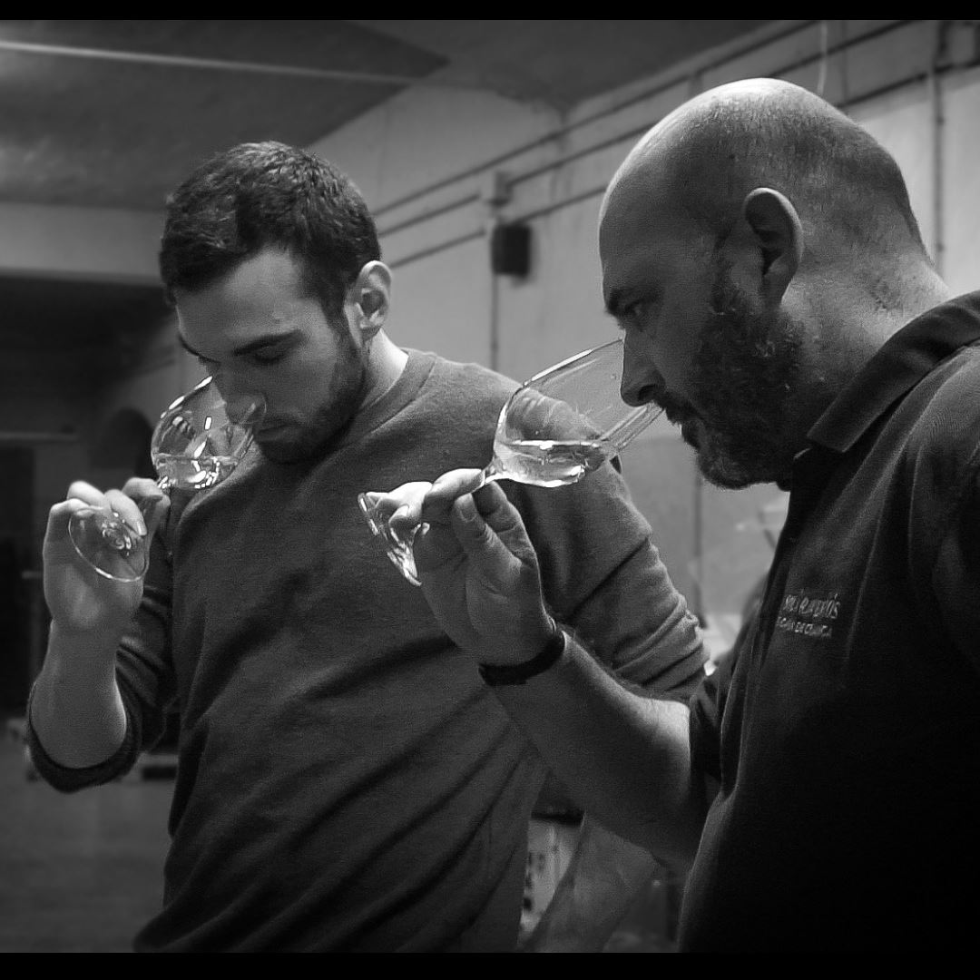 Two winemakers nosing glasses of cava in the cellar